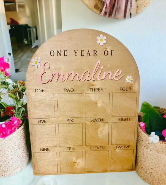 Baby’s First Year Photo Sign